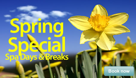 Srping Specials </br> Spa Days & Breaks